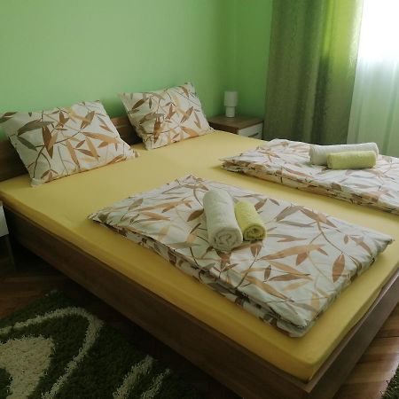 Apartman ,,Milica" Donji Milanovac Bagian luar foto