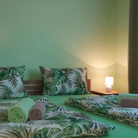 Apartman ,,Milica" Donji Milanovac Bagian luar foto