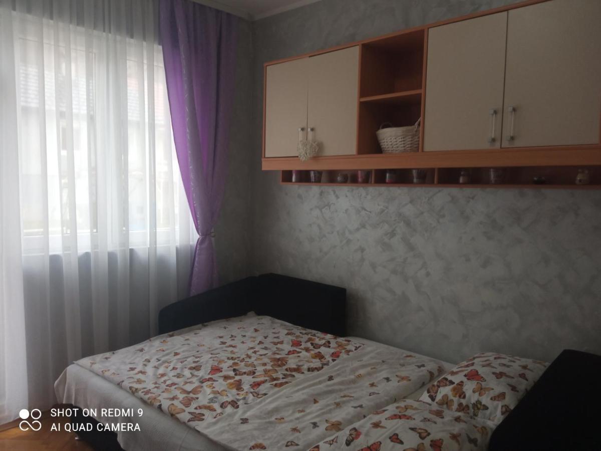 Apartman ,,Milica" Donji Milanovac Bagian luar foto
