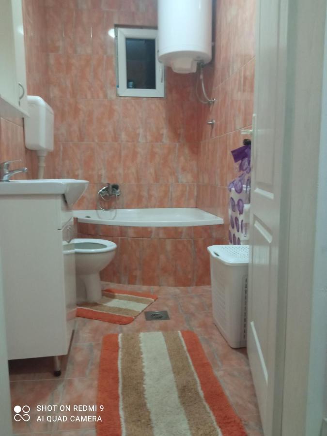 Apartman ,,Milica" Donji Milanovac Bagian luar foto